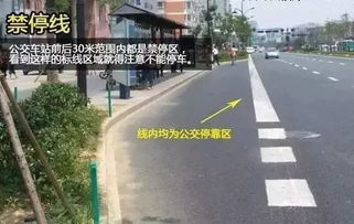 揚(yáng)州車主注意 亂停車不僅罰款，這些行為12分很快扣光